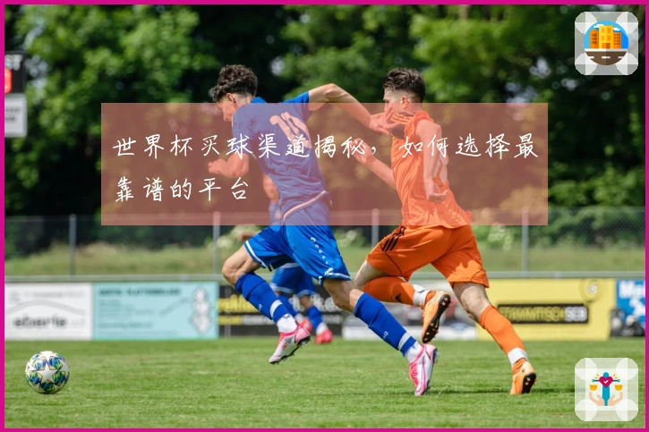 世界杯买球渠道揭秘，如何选择最靠谱的平台