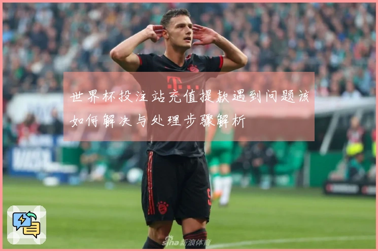 世界杯投注站充值提款遇到问题该如何解决与处理步骤解析