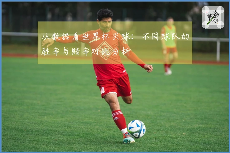 从数据看世界杯买球：不同球队的胜率与赔率对比分析