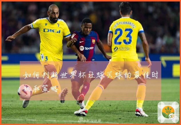 如何判断世界杯让球买球的最佳时机和策略