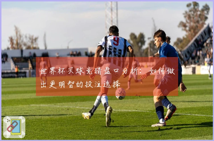 世界杯买球竞猜盘口分析：如何做出更明智的投注选择