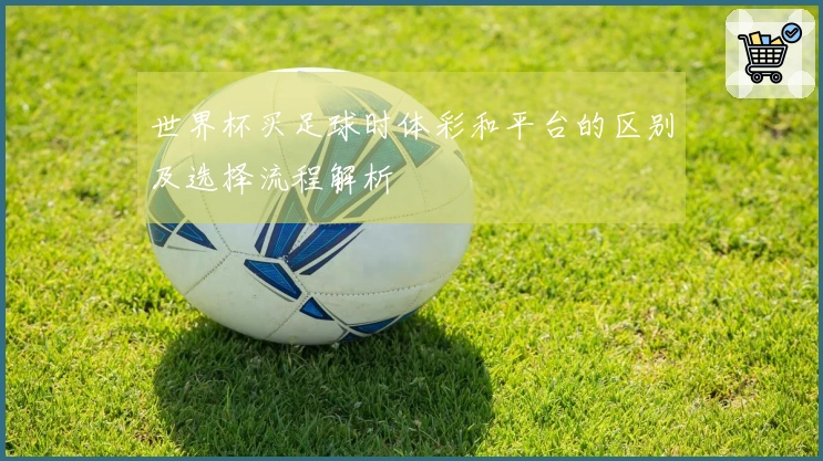世界杯买足球时体彩和平台的区别及选择流程解析