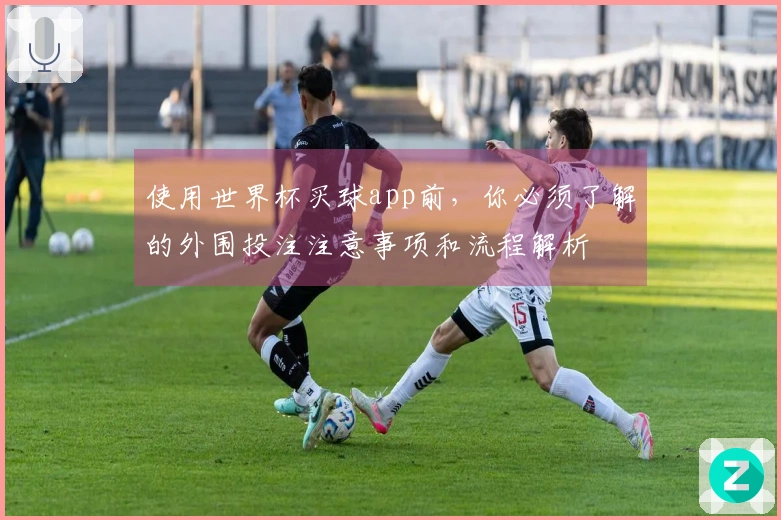 使用世界杯买球app前，你必须了解的外围投注注意事项和流程解析