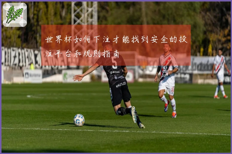 世界杯如何下注才能找到安全的投注平台和规则指南