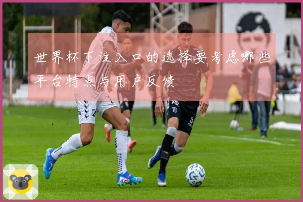 世界杯下注入口的选择要考虑哪些平台特点与用户反馈