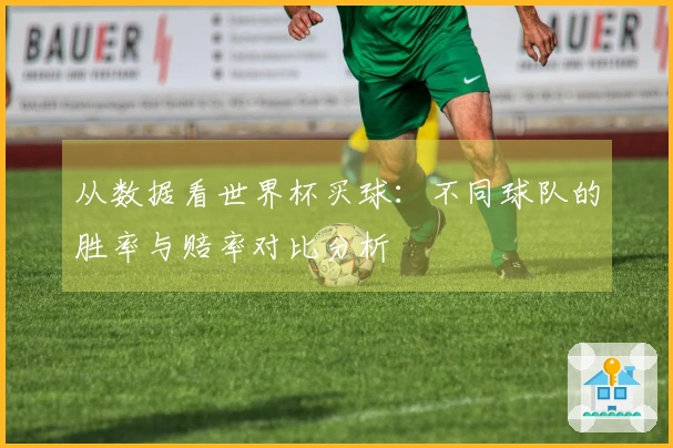 从数据看世界杯买球：不同球队的胜率与赔率对比分析