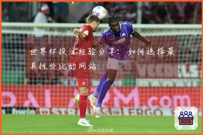 世界杯投注经验分享：如何选择最具性价比的网站
