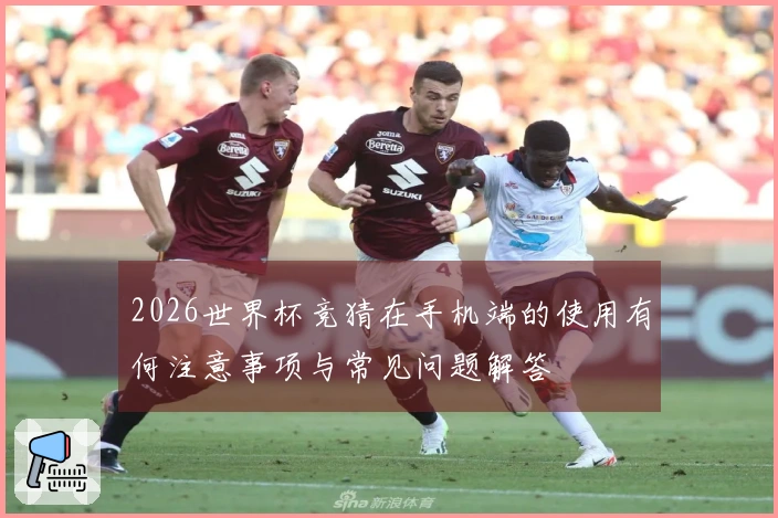 2026世界杯竞猜在手机端的使用有何注意事项与常见问题解答