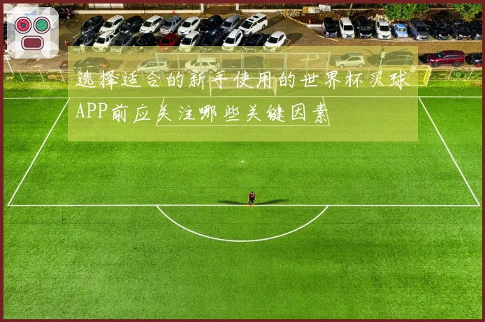 选择适合的新手使用的世界杯买球APP前应关注哪些关键因素
