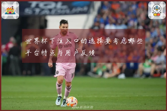 世界杯下注入口的选择要考虑哪些平台特点与用户反馈