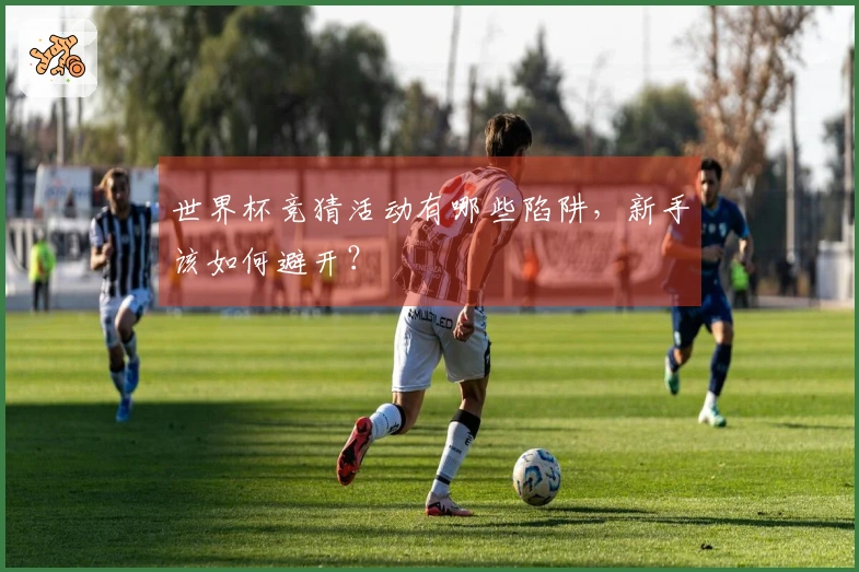 世界杯竞猜活动有哪些陷阱，新手该如何避开？