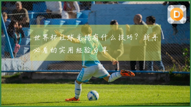 世界杯让球竞猜有什么技巧？新手必看的实用经验分享