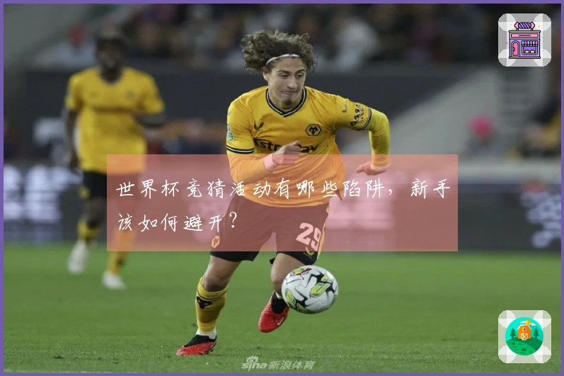 世界杯竞猜活动有哪些陷阱，新手该如何避开？