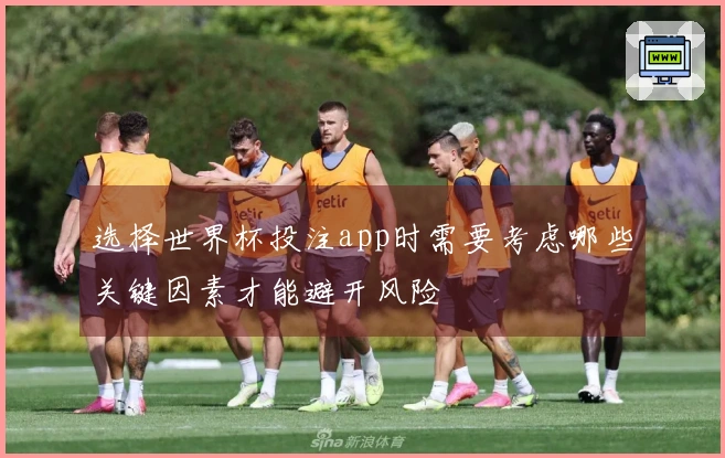 选择世界杯投注app时需要考虑哪些关键因素才能避开风险