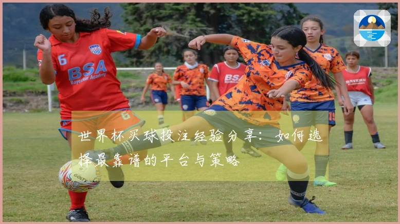 世界杯买球投注经验分享：如何选择最靠谱的平台与策略