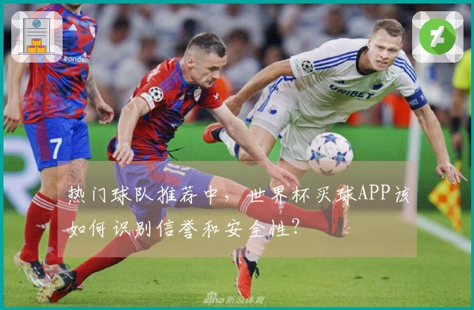 热门球队推荐中，世界杯买球APP该如何识别信誉和安全性？