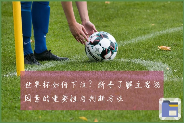 世界杯如何下注？新手了解主客场因素的重要性与判断方法