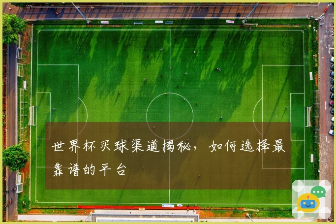 世界杯买球渠道揭秘，如何选择最靠谱的平台