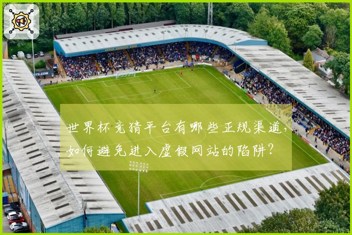 世界杯竞猜平台有哪些正规渠道，如何避免进入虚假网站的陷阱？