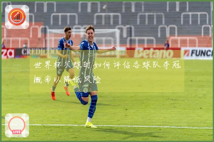 世界杯买球时如何评估各球队夺冠概率以降低风险