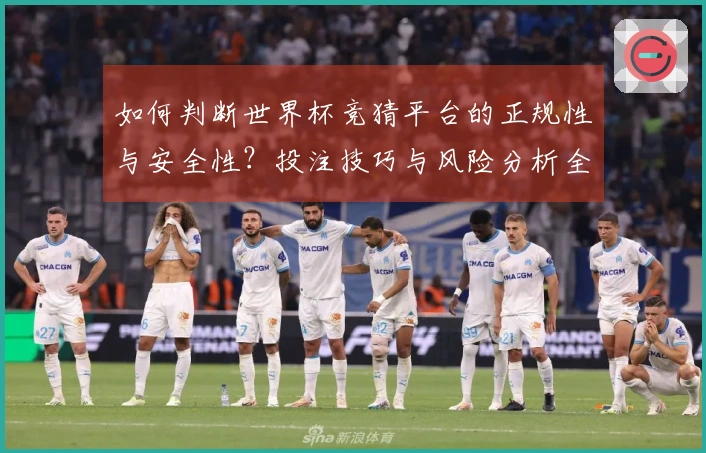 如何判断世界杯竞猜平台的正规性与安全性？投注技巧与风险分析全解读