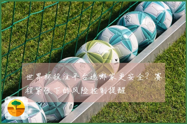 世界杯投注平台选哪家更安全？赛程紧张下的风险控制提醒
