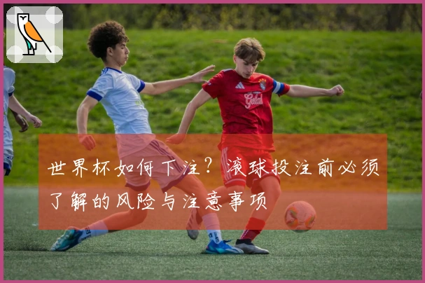 世界杯如何下注？滚球投注前必须了解的风险与注意事项