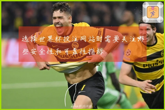 选择世界杯投注网站时需要关注哪些安全性和可靠性指标